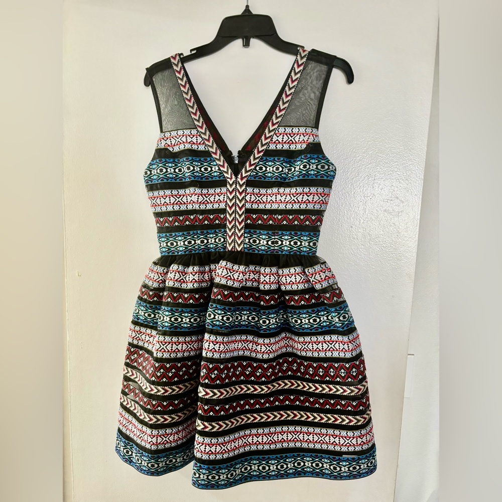 Bebe Embroidered Organza Fit and Flare Dress